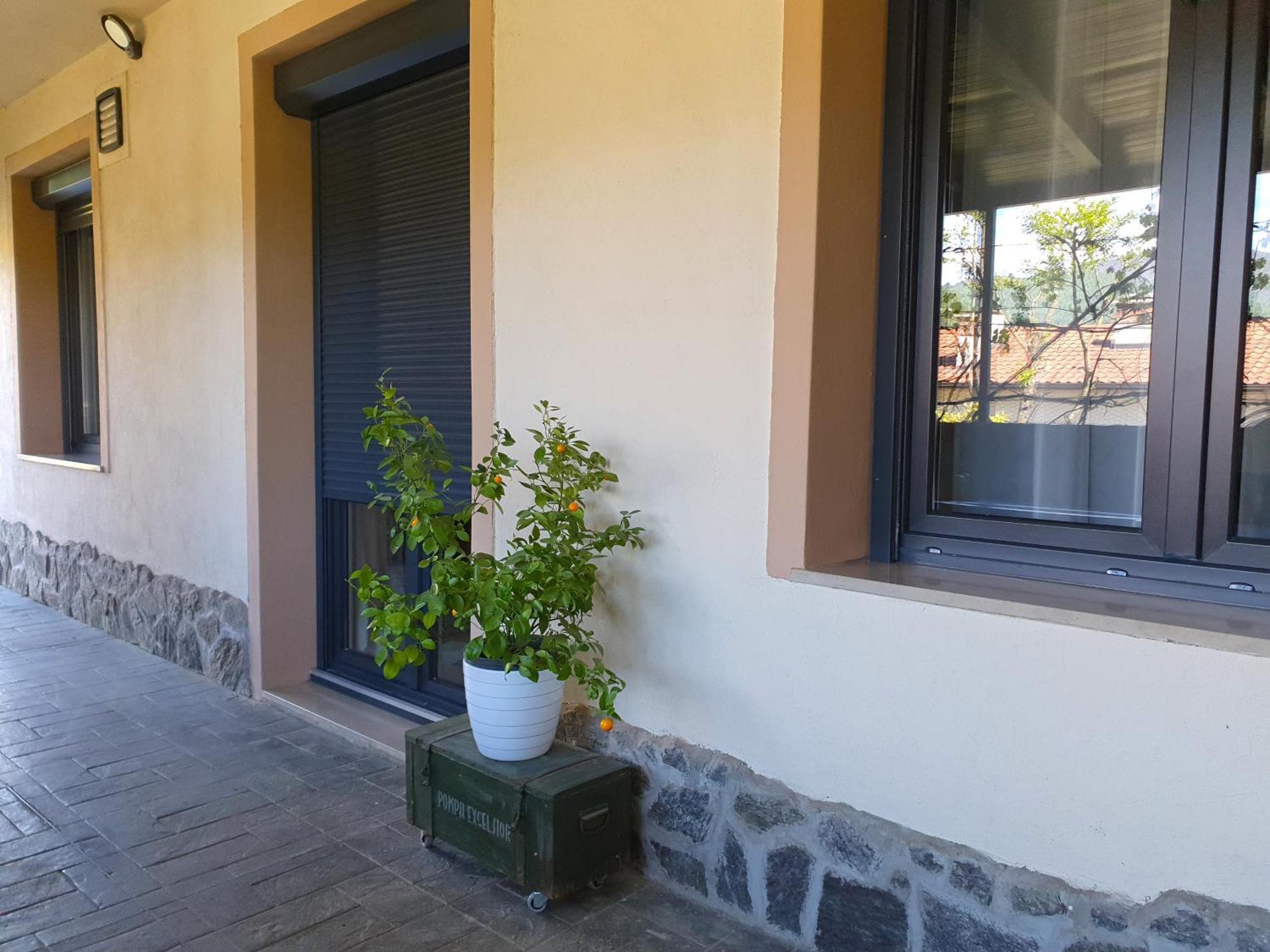 Apartment With Terrace Nona Pavla Tolmin Kültér fotó